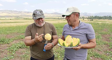 Kokusu, lezzeti, rengiyle farklı bağrıbütün hasadı başladı