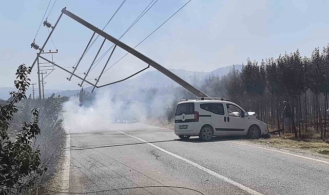 Kontrolden çıkan kamyonet elektrik direğini yerle bir etti