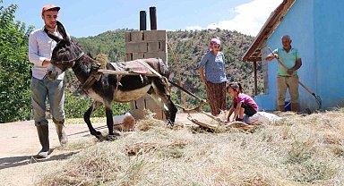 Konya'da geleneksel düvenle saman üretimi sürdürülüyor
