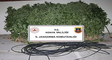 Konya'da jandarmadan uyuşturucu ve silah operasyonu