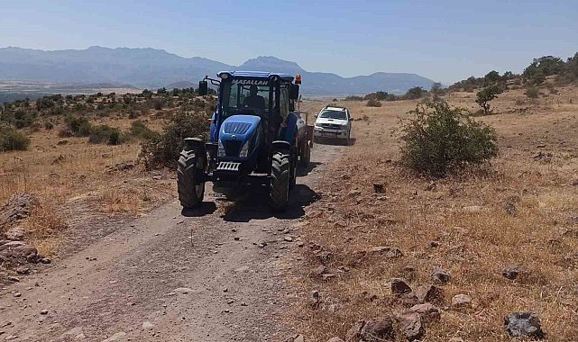 Konya'da ormanlık alanda yangın paniği