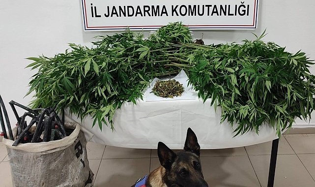 Konya'da uyuşturucu tacirlerine operasyon