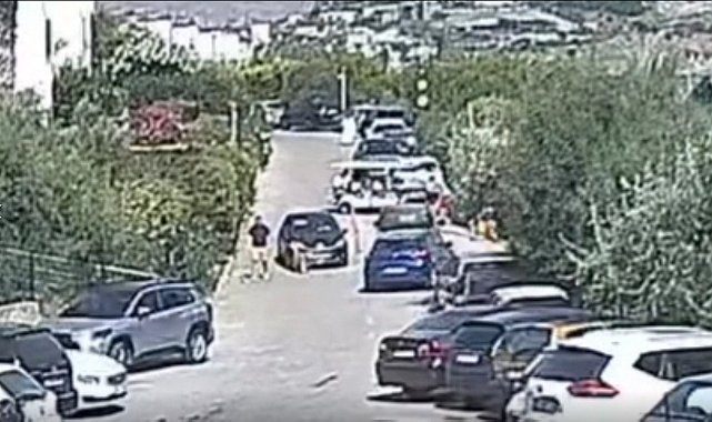 Köpeği için hukuk mücadelesi başlattı