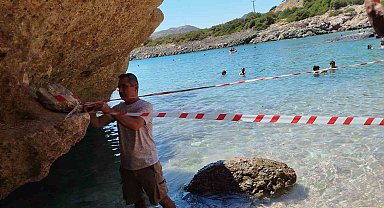 Koruma altına alınan Akdeniz foku, kontrollerinin ardından sahile bırakıldı