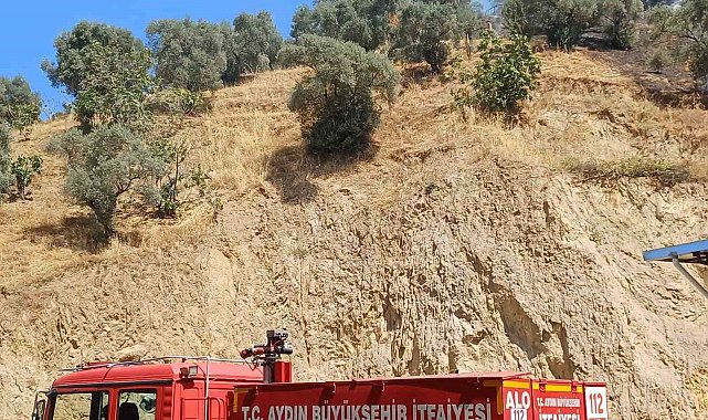 Köşk'teki zirai alan yangını kontrol altına alındı