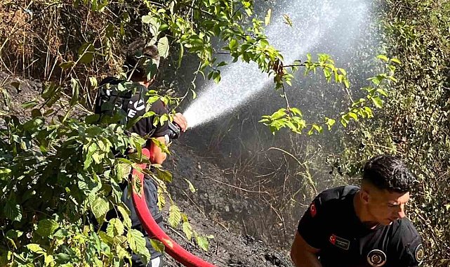 Kozlu'da anız yangını büyümeden söndürüldü