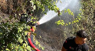 Kozlu'da anız yangını büyümeden söndürüldü