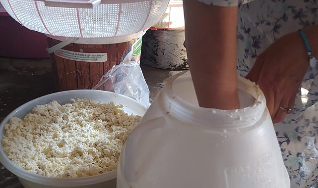 Kuma gömülerek olgunlaştırılan küp peyniri, asırlık lezzetini koruyor