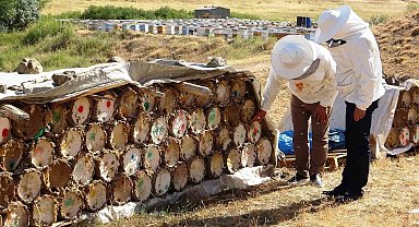 Küresel ısınma arıcıları tedirgin ediyor