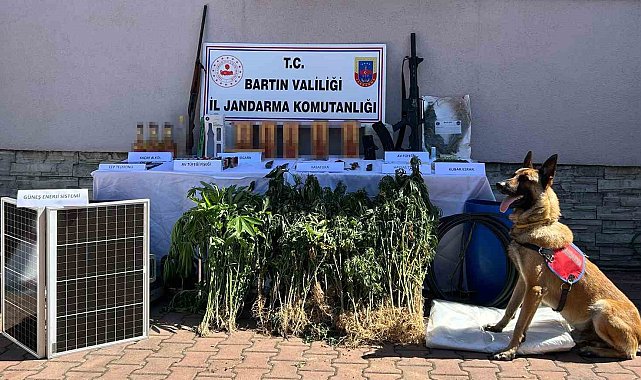 Kurucaşile'deki uyuşturucu operasyonunda 1 kişi tutuklandı