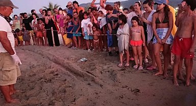Kuşadası'nda koruma altındaki yuvadan ilk yavrular denize ulaştı