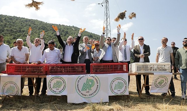 Kütahya'da 300 keklik doğaya salındı