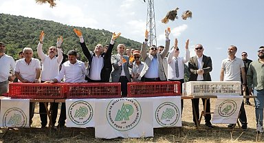 Kütahya'da 300 keklik doğaya salındı