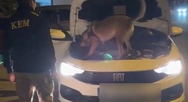 Kütahya'da 3,5 kilo kokain ele geçirildi, şüpheli 2 kişi tutuklandı