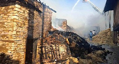 Kütahya'da köyde çıkan yangında 4 ev hasar gördü