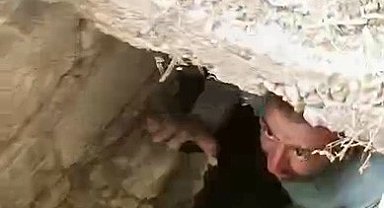Lağım kuyusuna düşen yavru köpekleri vatandaşlar kurtardı