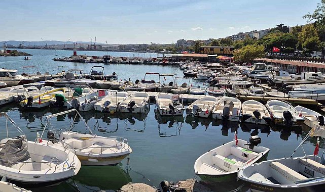 Limanda tatlı telaşe: Balıkçılar Lüfer ve palamuttan umutlu