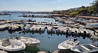 Limanda tatlı telaşe: Balıkçılar Lüfer ve palamuttan umutlu