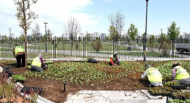 Malatya çiçek bahçesine döndü