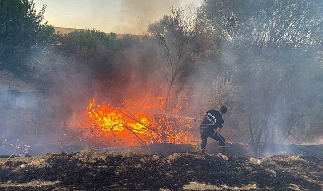 Malatya'da anız yangınında 50 dönümlük arazi zarar gördü