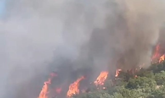 Malatya'da orman yangını
