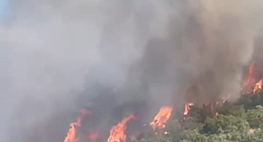 Malatya'da orman yangını