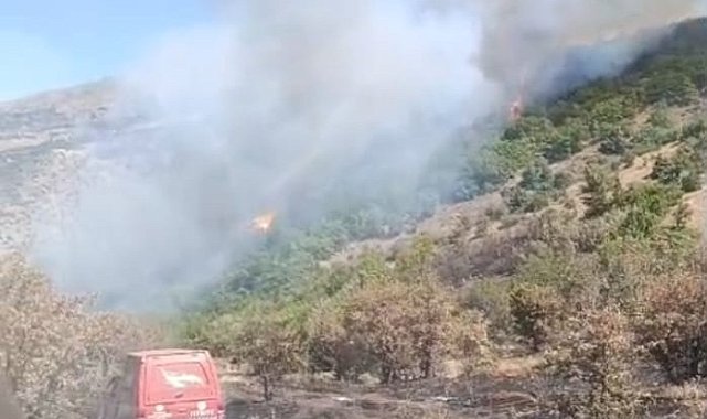 Malatya'daki orman yangını söndürüldü