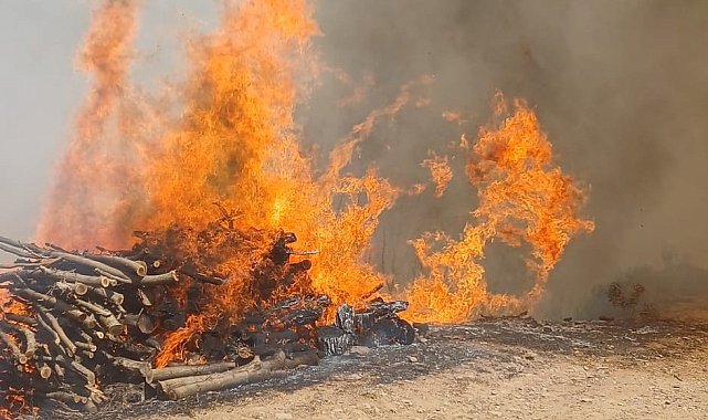 Malatya'nın Doğanyol ilçesinde orman yangını