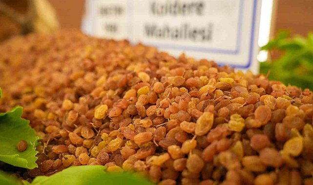 Manisa'da borsaya gelen yılın ilk kuru üzümü 3 bin 500 TL'den alındı