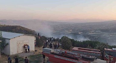 Manisa'da orman yangını