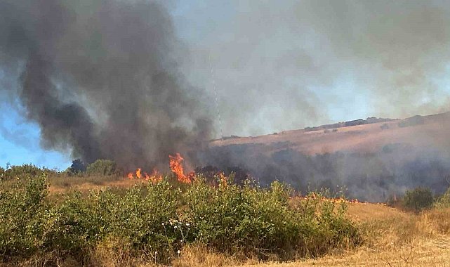 Manyas Yeniköy'de çıkan yangına ekiplerden ortak müdahale