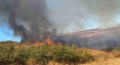 Manyas Yeniköy'de çıkan yangına ekiplerden ortak müdahale