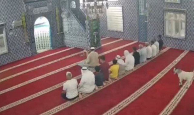 Mardin'de camiye giren oğlak güvenlik kamerasına yansıdı