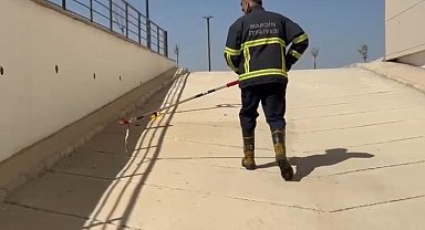 Mardin'de diş hastanesine giren yılan ekiplerce doğaya salındı
