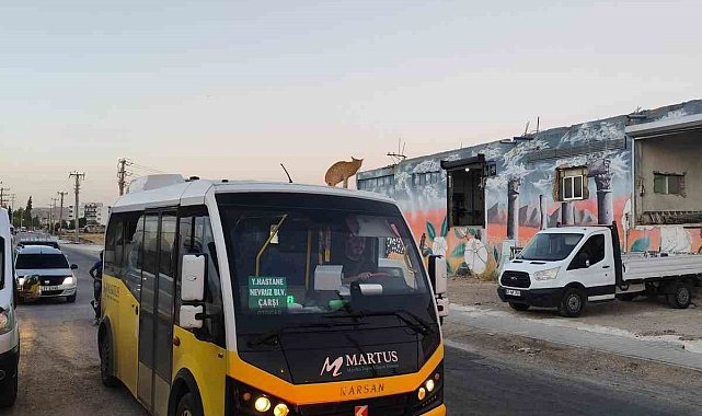 Mardin'de dolmuşun üzerinde yolculuk yapan kedi kameraya yansıdı