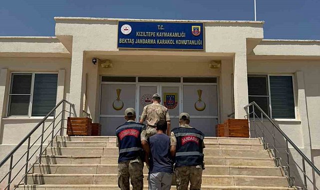 Mardin'de hayvanlara ilişkin uygunsuz paylaşım yapan şahıs gözaltına alındı