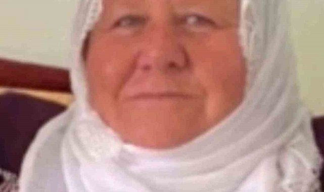 Mardin'de otomobilin çarptığı kadın hayatını kaybetti