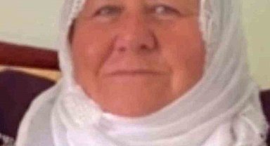 Mardin'de otomobilin çarptığı kadın hayatını kaybetti