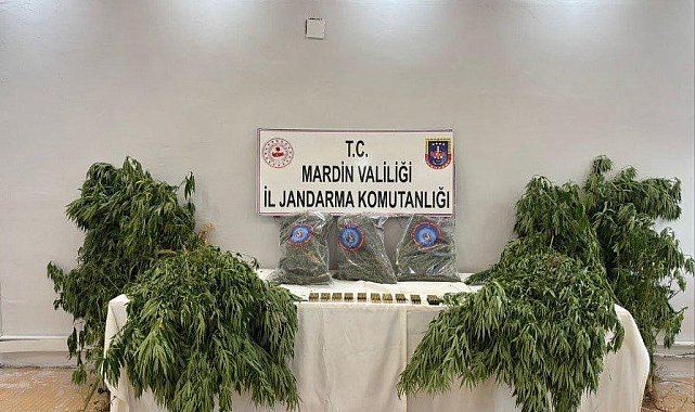 Mardin'de uyuşturucu operasyonu: 1 tutuklama
