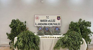 Mardin'de uyuşturucu operasyonu: 1 tutuklama