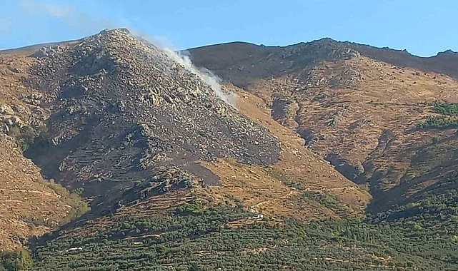 Marmara Adası'ndaki yangın kontrol altına alındı