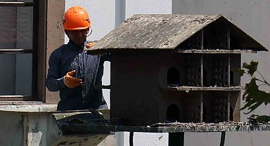 Menteşe'de güvercin yuvalarında temizlik yapıldı
