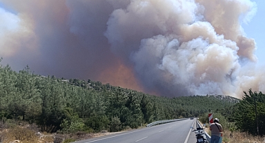 Mersin'de orman yangını başladı