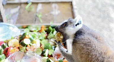 Mersin Tarsus Doğa Parkı'nda yaz tedbirleri