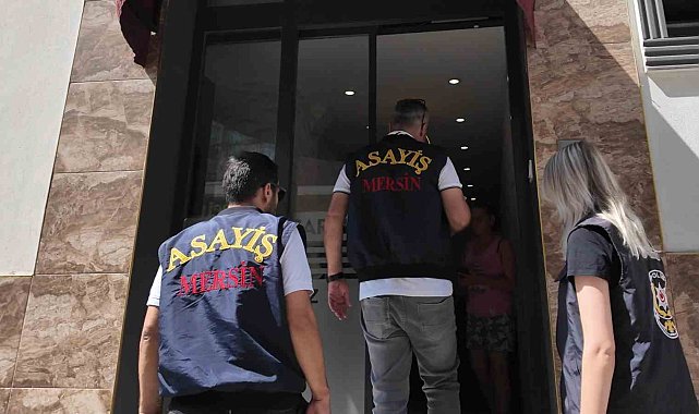 Mersin'de günübirlik ev ve kiralık araç firmaları denetlendi