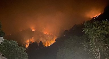 Mersin'de iki ilçede orman yangınları sürüyor