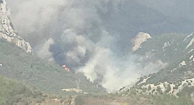 Mersin'de ikinci orman yangını