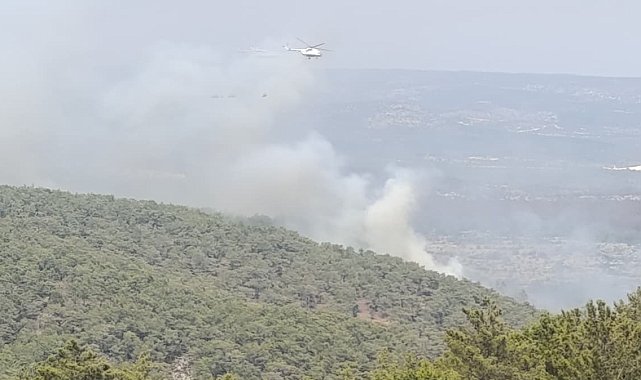 Mersin'de kaynak yaparken orman yangınına neden olan firma sahibi ile 4 kişi tutuklandı
