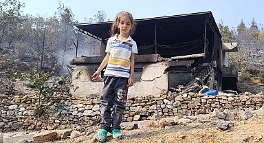 Mersin'de orman yangınında evler yandı, hayvanlar telef oldu