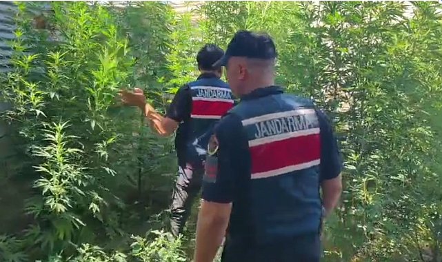 Mersin'de uyuşturucu operasyonu: 8 gözaltı